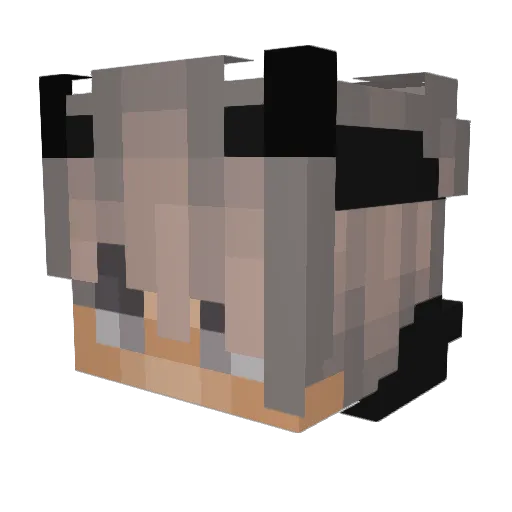Stevex5 Minecraft avatar head, 3D render