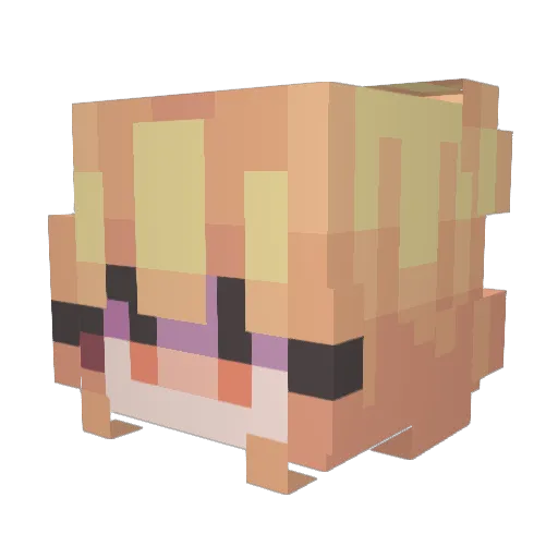 SteviePaz123 Minecraft avatar head, 3D render