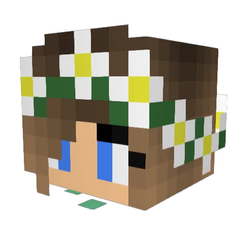 StevieRoo Minecraft avatar head, 3D render