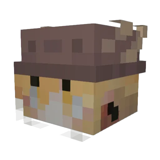 StewAintFud Minecraft avatar head, 3D render