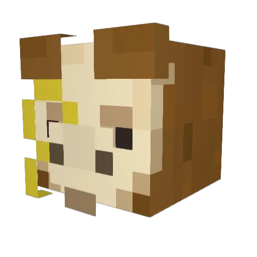StewTheDog Minecraft avatar head, 3D render