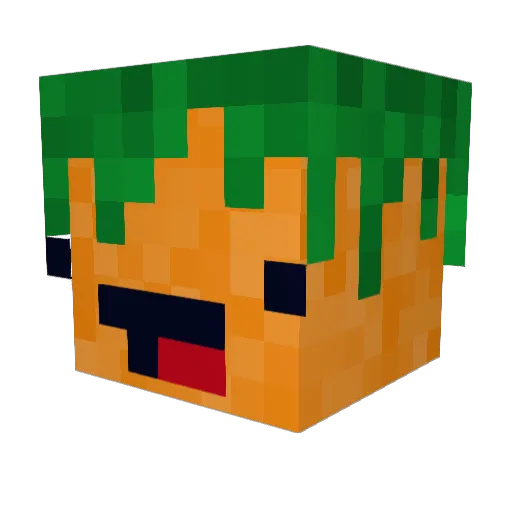 StewX_ Minecraft avatar head, 3D render
