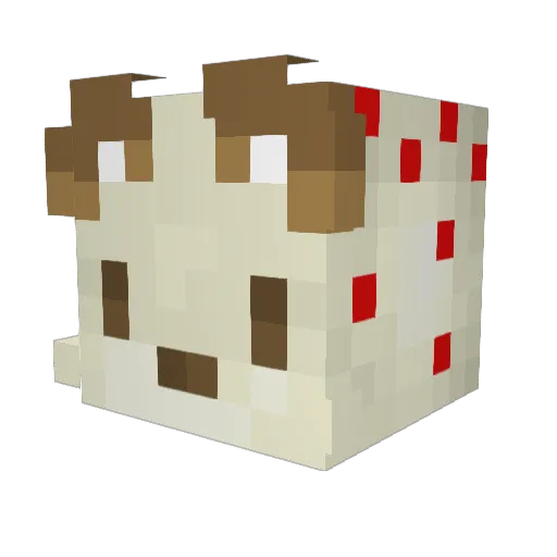 Stew_Fox Minecraft avatar head, 3D render