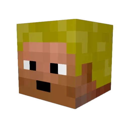 Stew_May Minecraft avatar head, 3D render