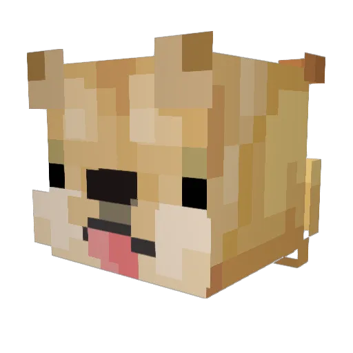 StewedTomatos Minecraft avatar head, 3D render