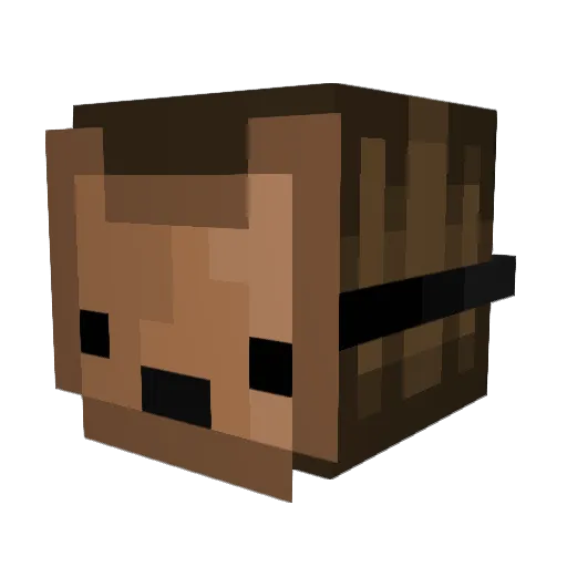 Stewenp Minecraft avatar head, 3D render