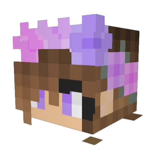 Stewy23 Minecraft avatar head, 3D render