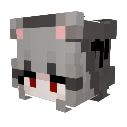 StexyyRexyy Minecraft avatar head, 3D render