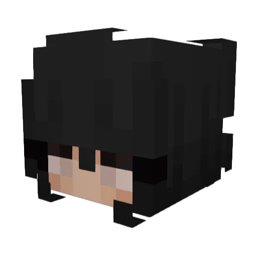 Stezy__ Minecraft avatar head, 3D render