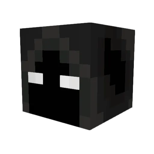 StfuNotHim Minecraft avatar head, 3D render