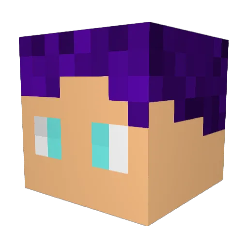 Sth2_die4 Minecraft avatar head, 3D render
