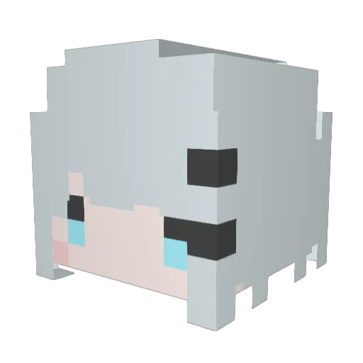 Sthfon Minecraft avatar head, 3D render