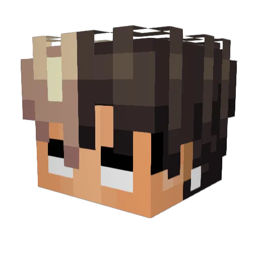 StiK2t Minecraft avatar head, 3D render