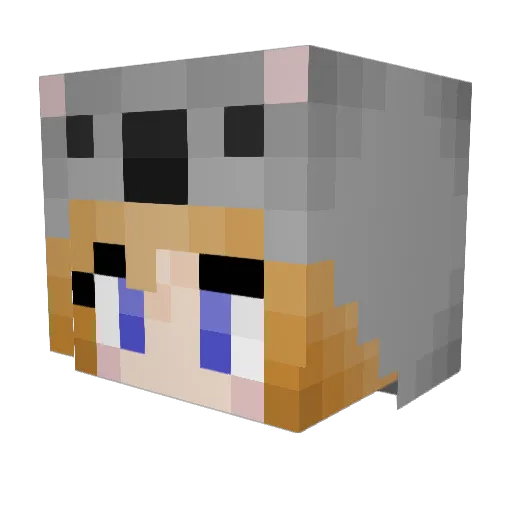 Stich123 Minecraft avatar head, 3D render