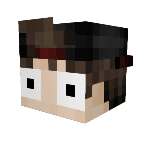 Stiches_ Minecraft avatar head, 3D render