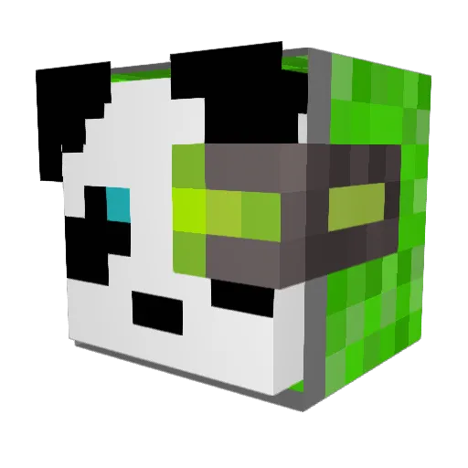 StickVaulter Minecraft avatar head, 3D render
