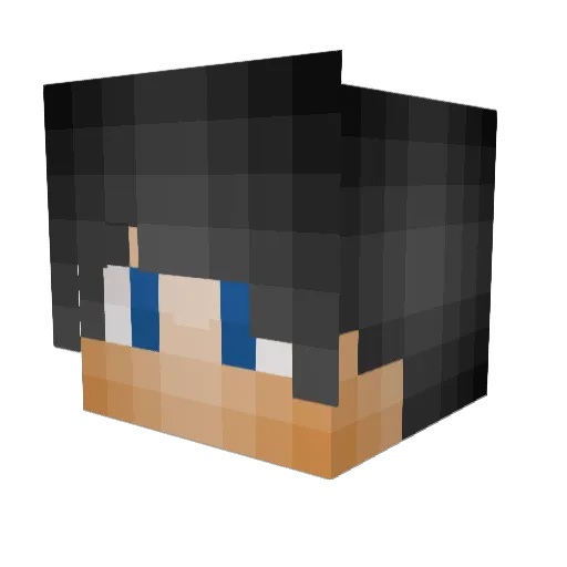 Stickers72 Minecraft avatar head, 3D render