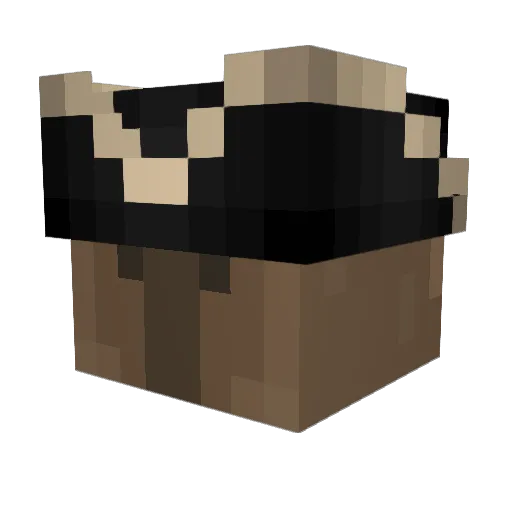 Stickmin_ Minecraft avatar head, 3D render