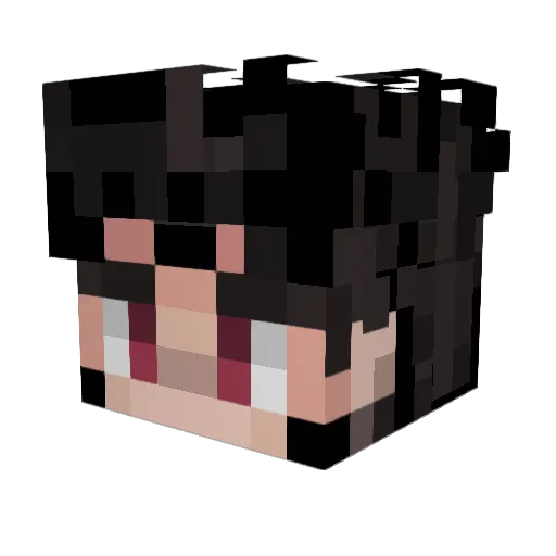 Sticks12321 Minecraft avatar head, 3D render