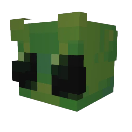 StickyBomb5687 Minecraft avatar head, 3D render