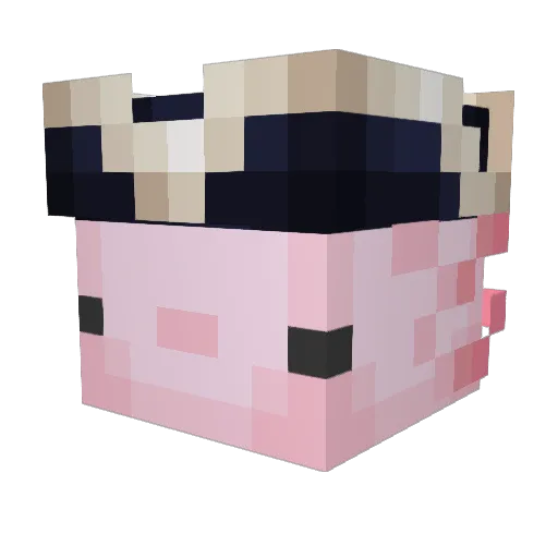 StickyMiggy Minecraft avatar head, 3D render