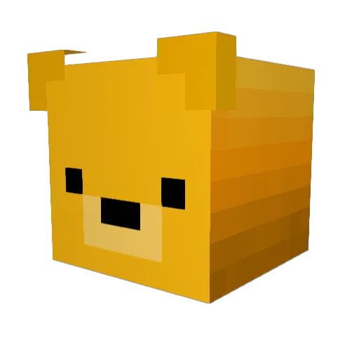 Stickywizard92 Minecraft avatar head, 3D render