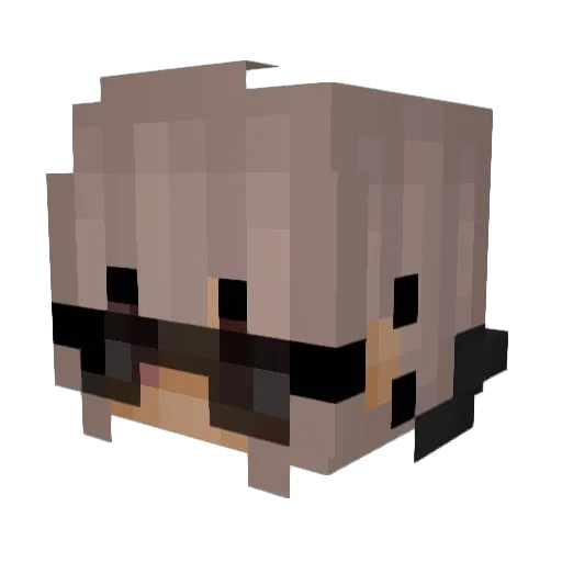 Stiefschwesta Minecraft avatar head, 3D render
