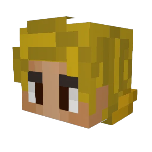 StiekemBram Minecraft avatar head, 3D render