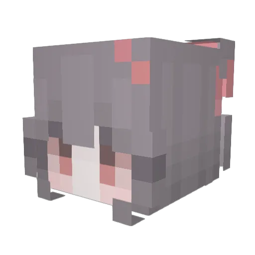 StierVat Minecraft avatar head, 3D render