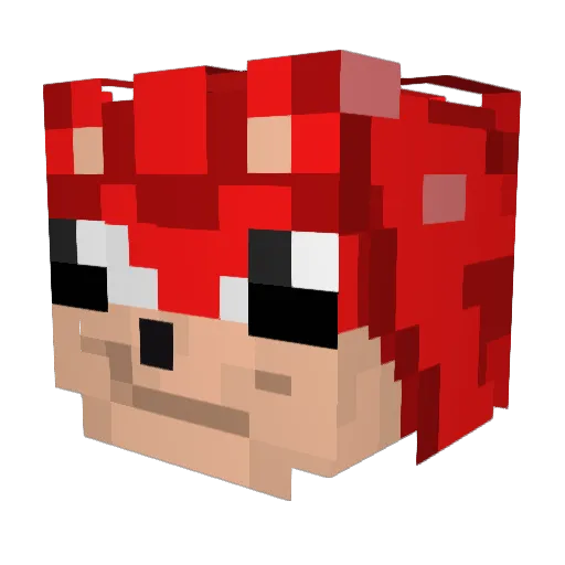 Stieselkeine Minecraft avatar head, 3D render