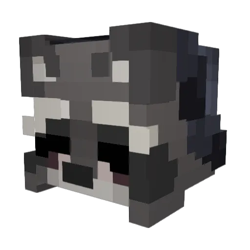 Stiffsole99 Minecraft avatar head, 3D render
