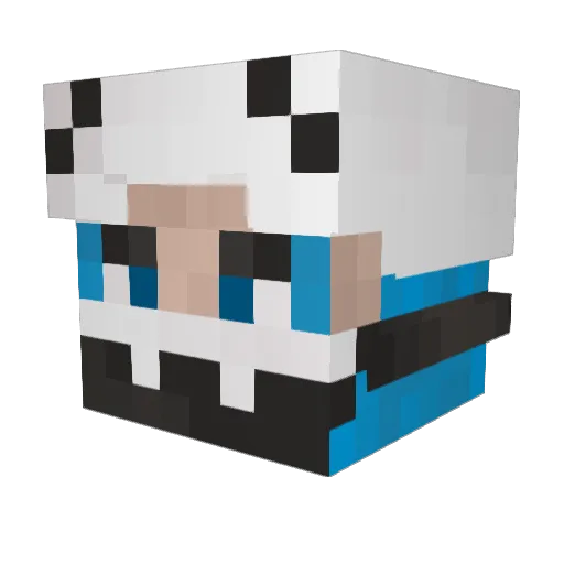 Stifwarts Minecraft avatar head, 3D render