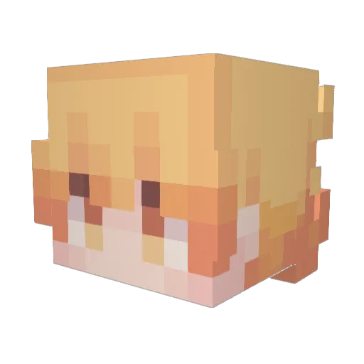 Stiggy22 Minecraft avatar head, 3D render