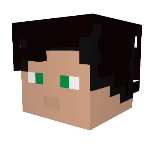 Stiggy_ Minecraft avatar head, 3D render
