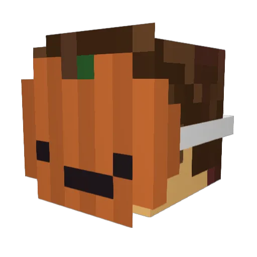 Stijn10 Minecraft avatar head, 3D render