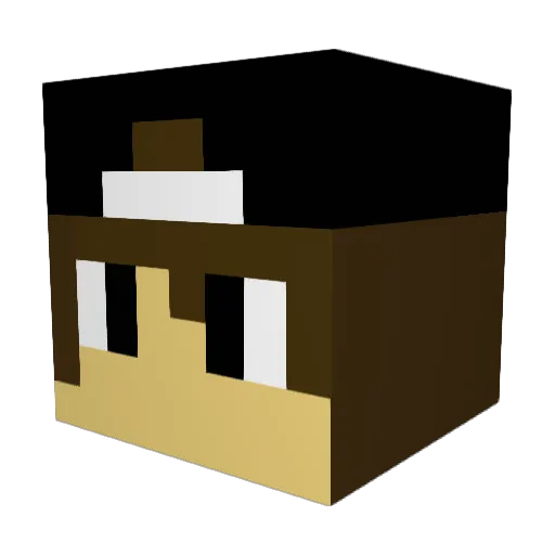 Stijn11 Minecraft avatar head, 3D render