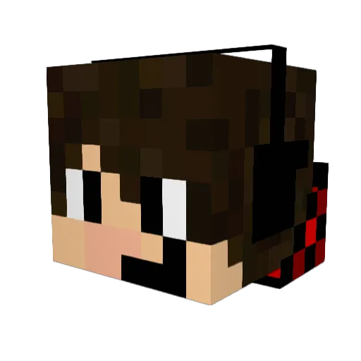 Stijn227 Minecraft avatar head, 3D render