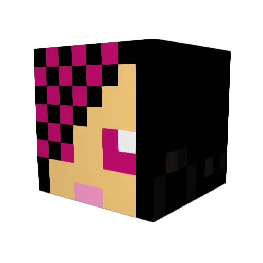 Stijnoob123 Minecraft avatar head, 3D render