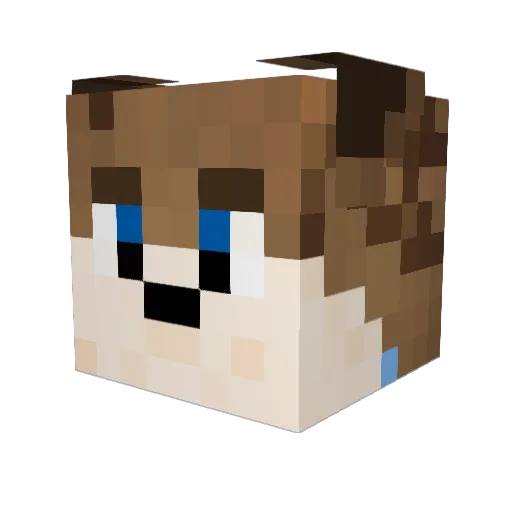 Stijnvds Minecraft avatar head, 3D render