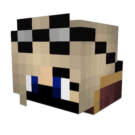 StilTiger321 Minecraft avatar head, 3D render