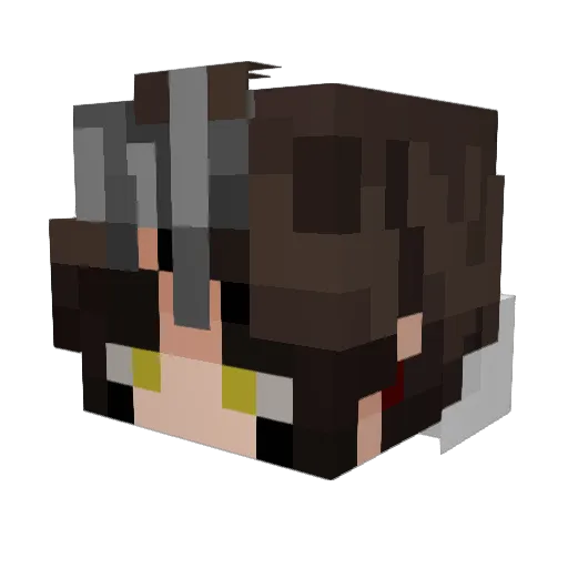 Stilki421 Minecraft avatar head, 3D render