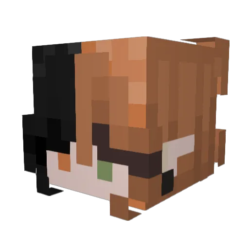 StillAwesomeAsh Minecraft avatar head, 3D render