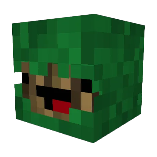 StillConfused_ Minecraft avatar head, 3D render