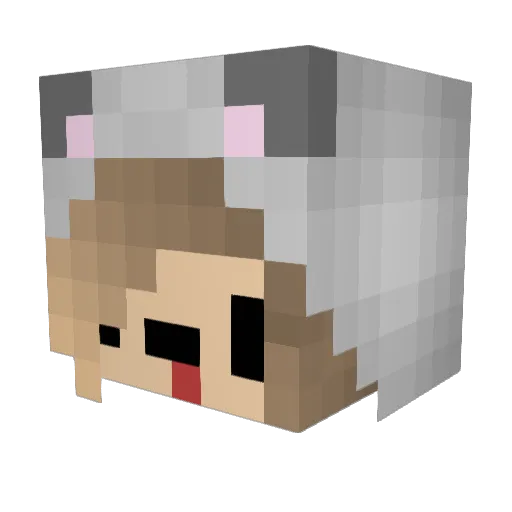 StillDrunk Minecraft avatar head, 3D render