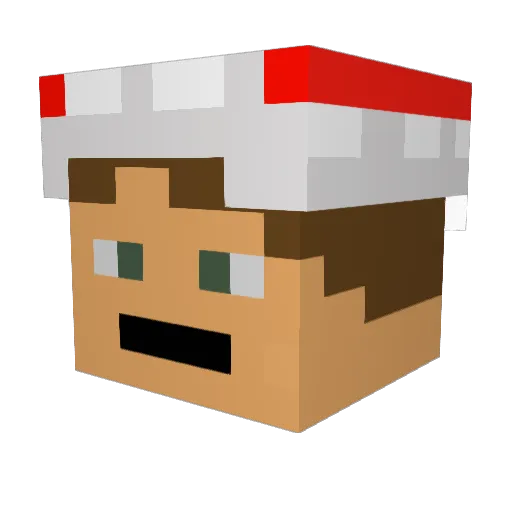 StillIRice Minecraft avatar head, 3D render