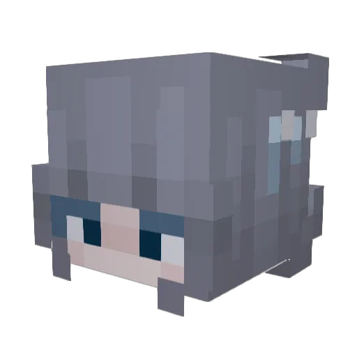 StillOdin897508 Minecraft avatar head, 3D render