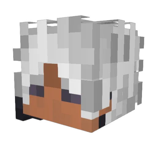 StillSaturns Minecraft avatar head, 3D render