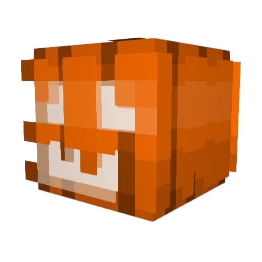 StillStruggling Minecraft avatar head, 3D render
