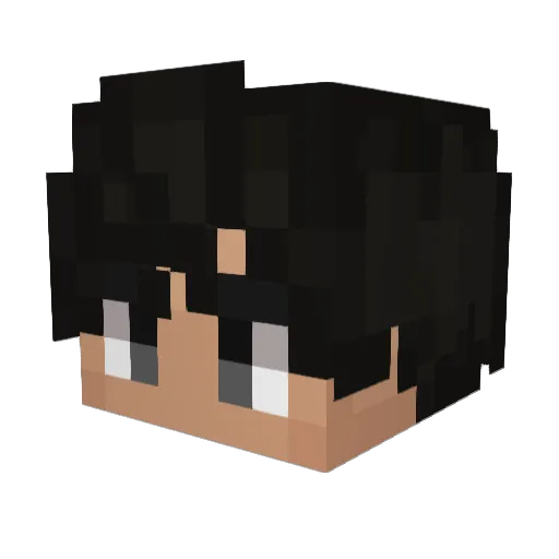 Still_A_Sloth Minecraft avatar head, 3D render