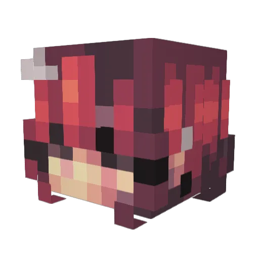 Still_Cis_Tho Minecraft avatar head, 3D render